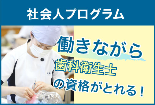社会人プログラム